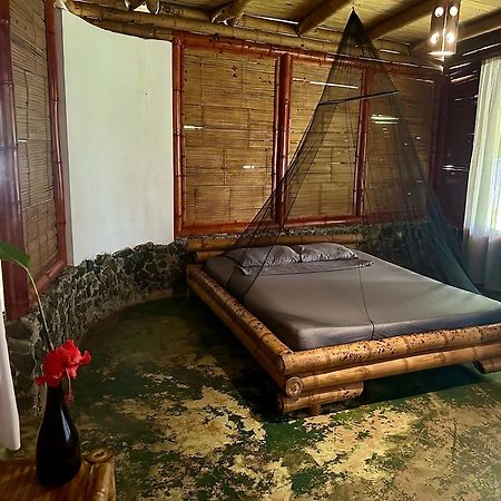 Eco-Lodge Deseo Bamboo Santa Catalina Extérieur photo