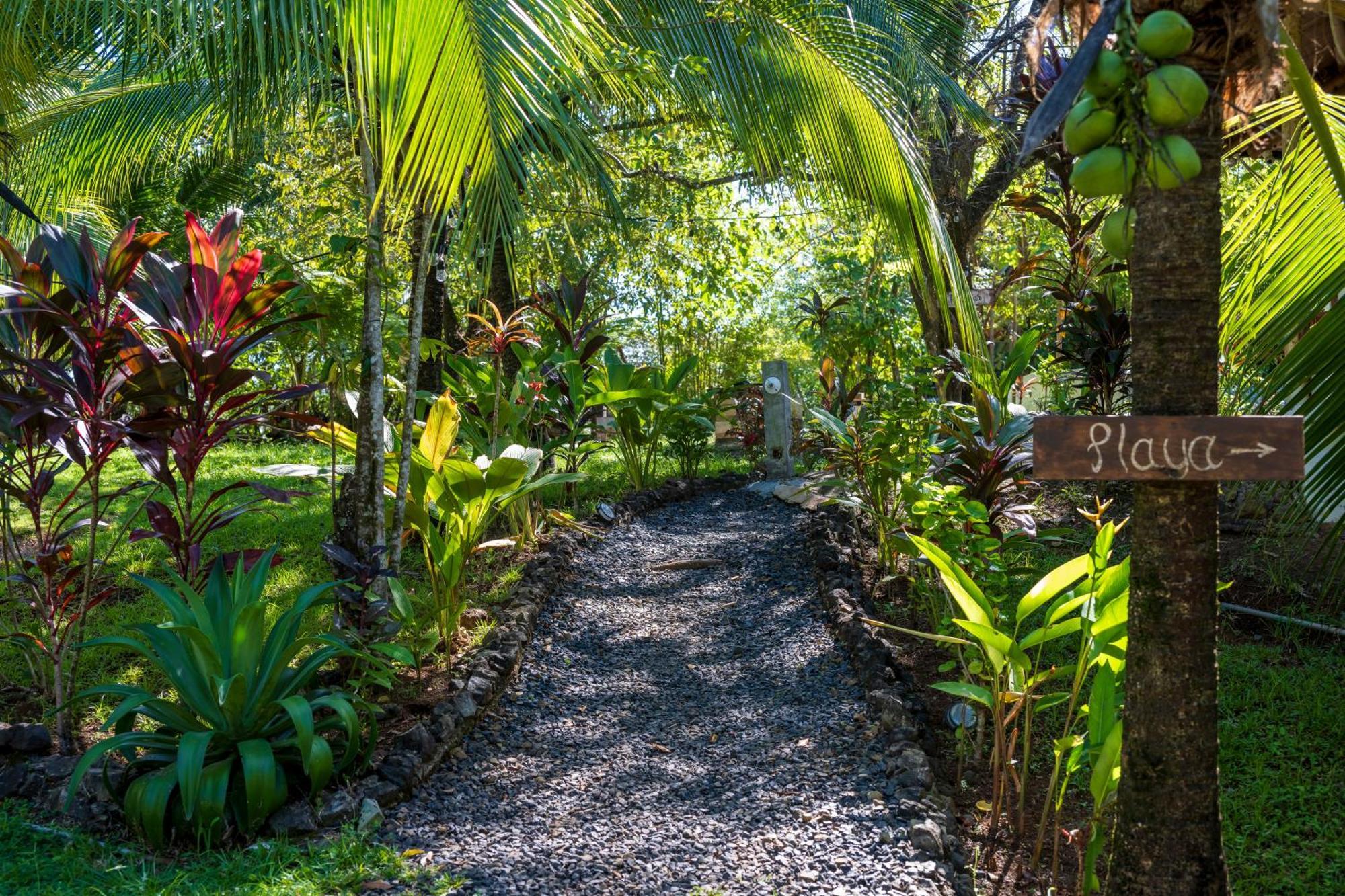 Eco-Lodge Deseo Bamboo Santa Catalina Extérieur photo