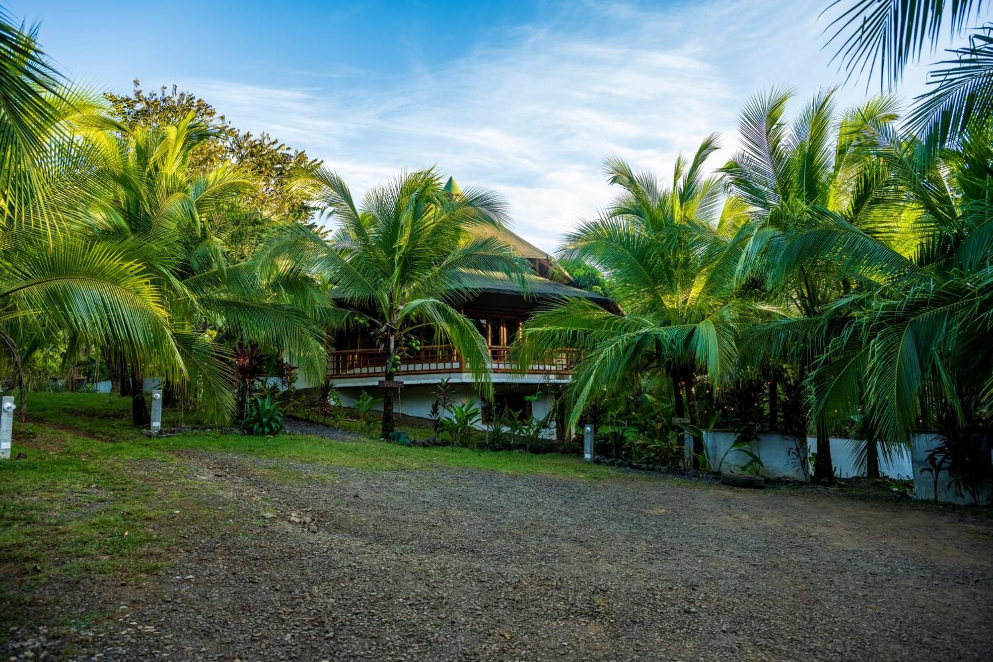 Eco-Lodge Deseo Bamboo Santa Catalina Extérieur photo