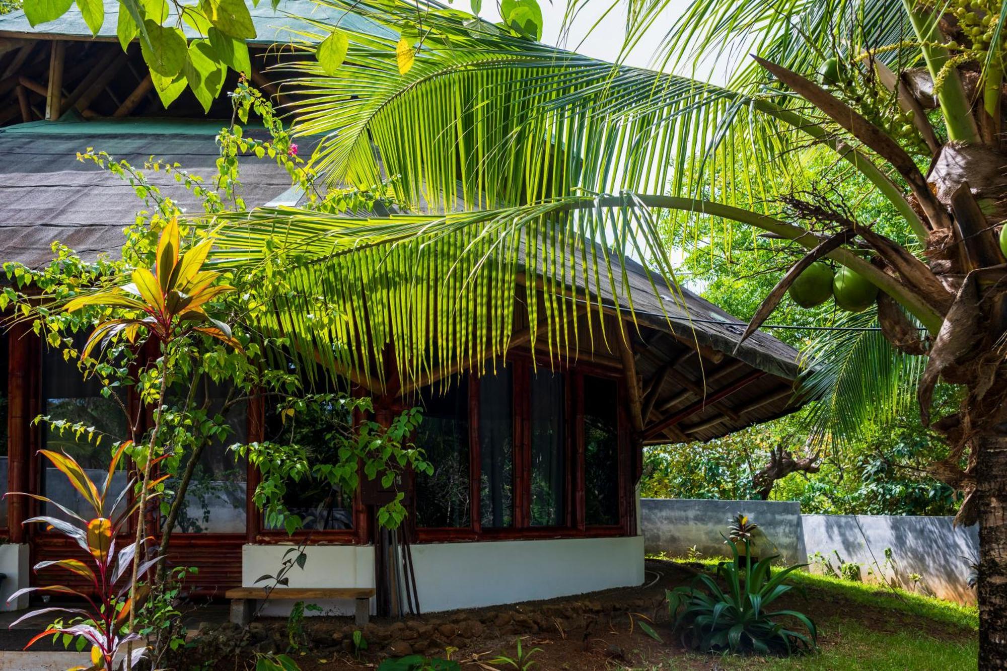 Eco-Lodge Deseo Bamboo Santa Catalina Extérieur photo