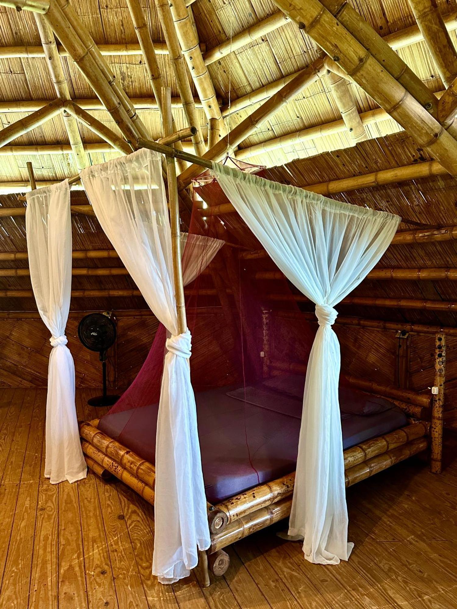 Eco-Lodge Deseo Bamboo Santa Catalina Extérieur photo