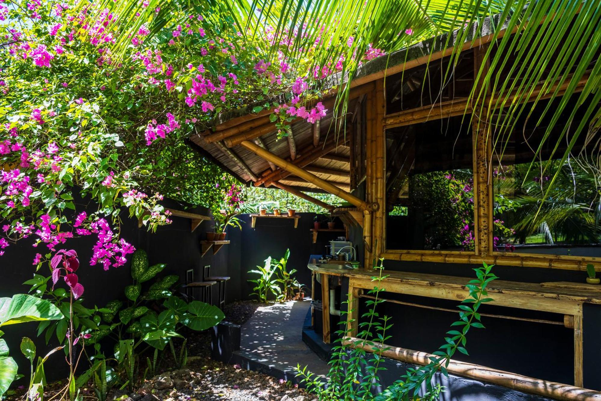 Eco-Lodge Deseo Bamboo Santa Catalina Extérieur photo
